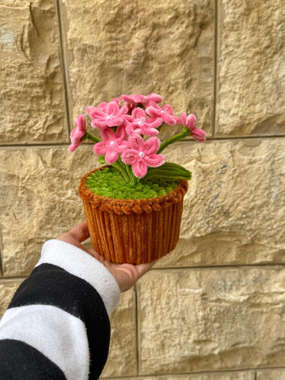 قوّار ورد