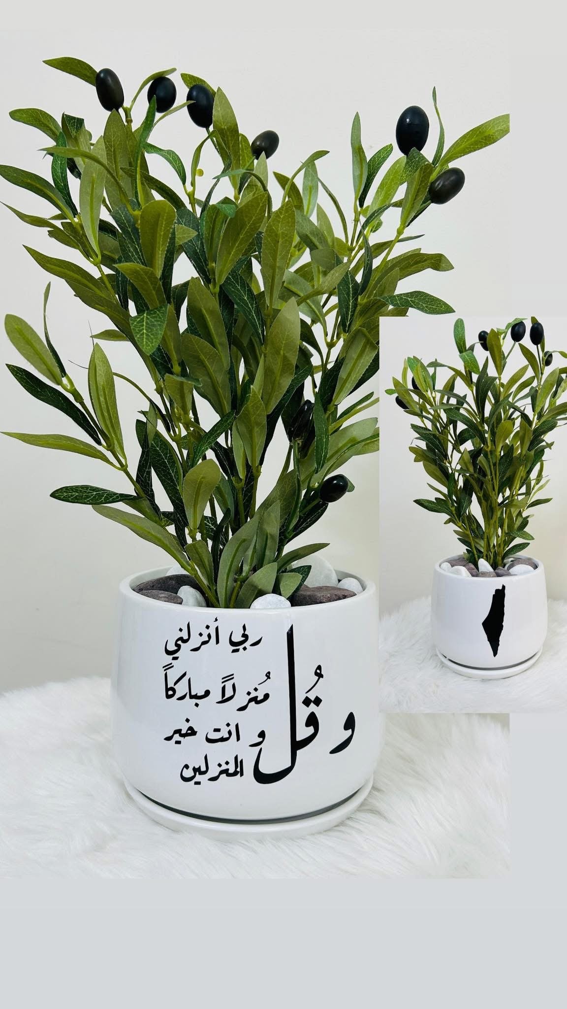 قوار زريعة مع طباعة